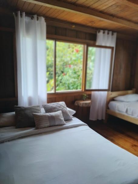 The Temple Iii, Mindo Hotel Buitenkant foto